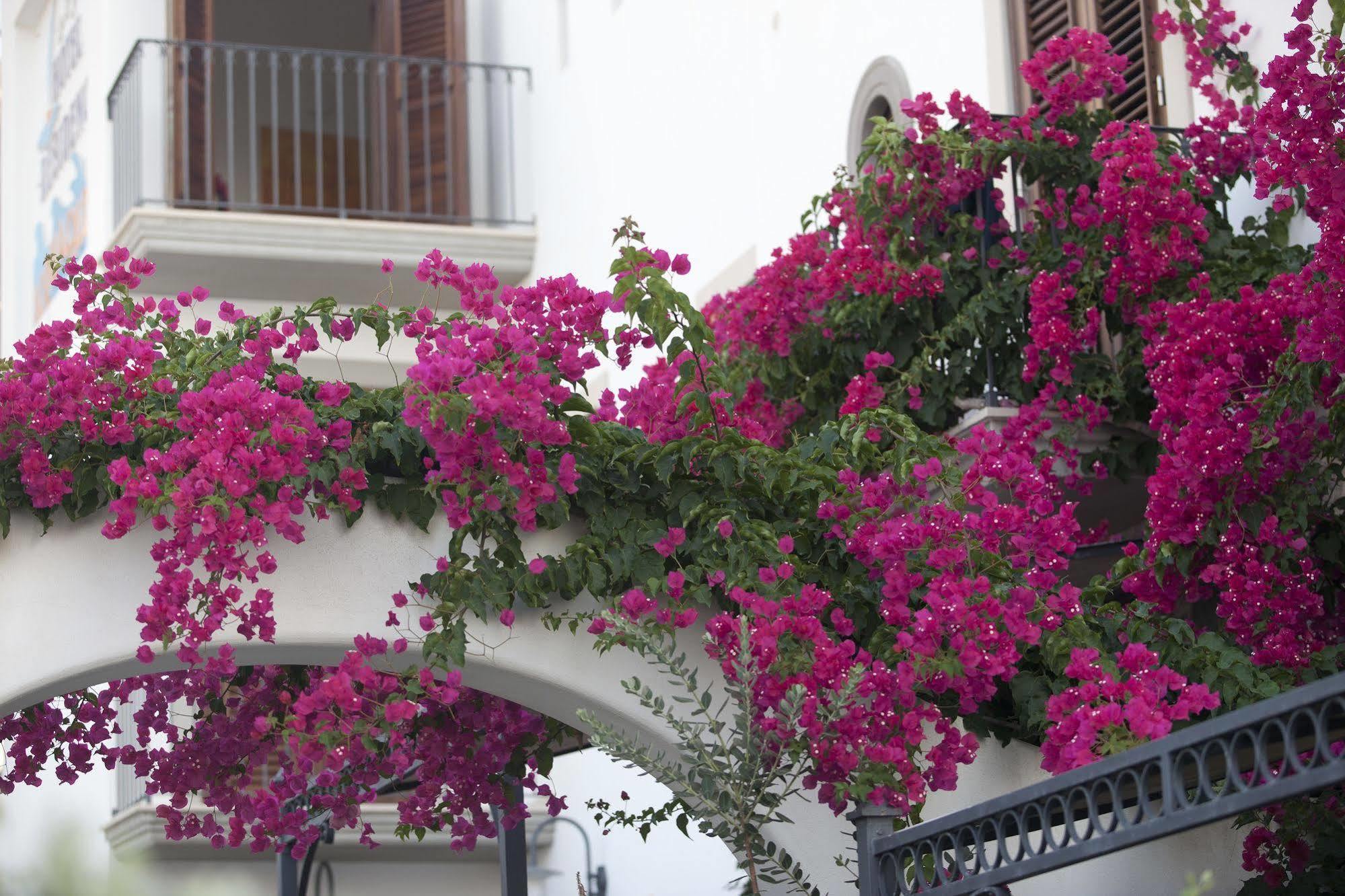 Hotel Residence Acquacalda Lipari  Eksteriør bilde